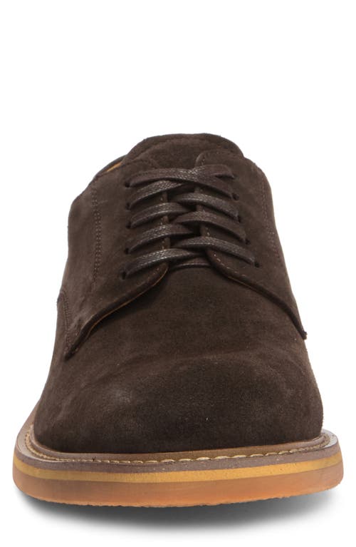 Steve Madden Petit Derby