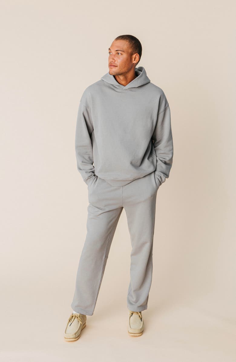 Ocio Men's Organic Cotton Teddy Oversized Hoodie, Main, color, Ash