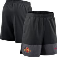 Nike Men's Nike Black Iowa State Cyclones 2025 Sideline Performance Shorts