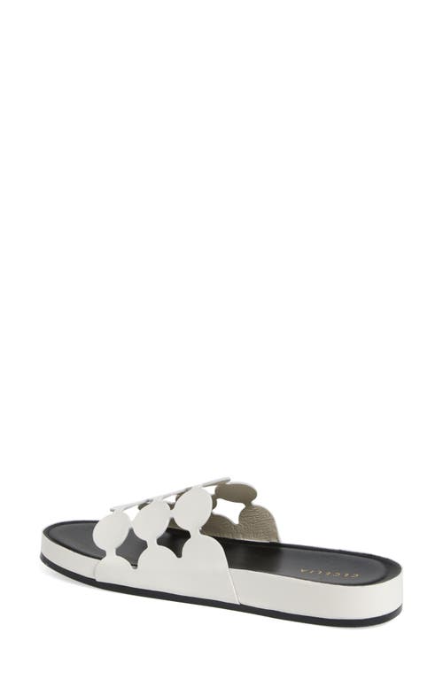 Cecelia New York Emily Slide Sandal In White/black