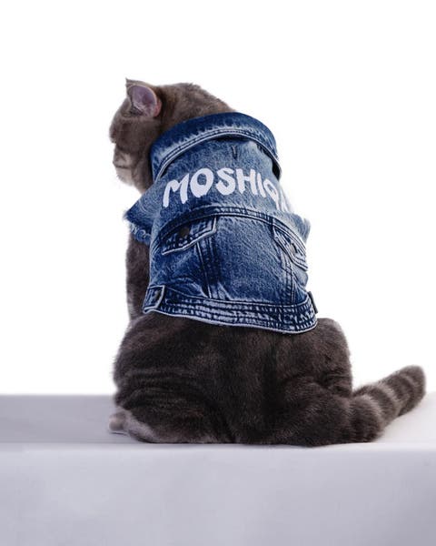 Denim Cat