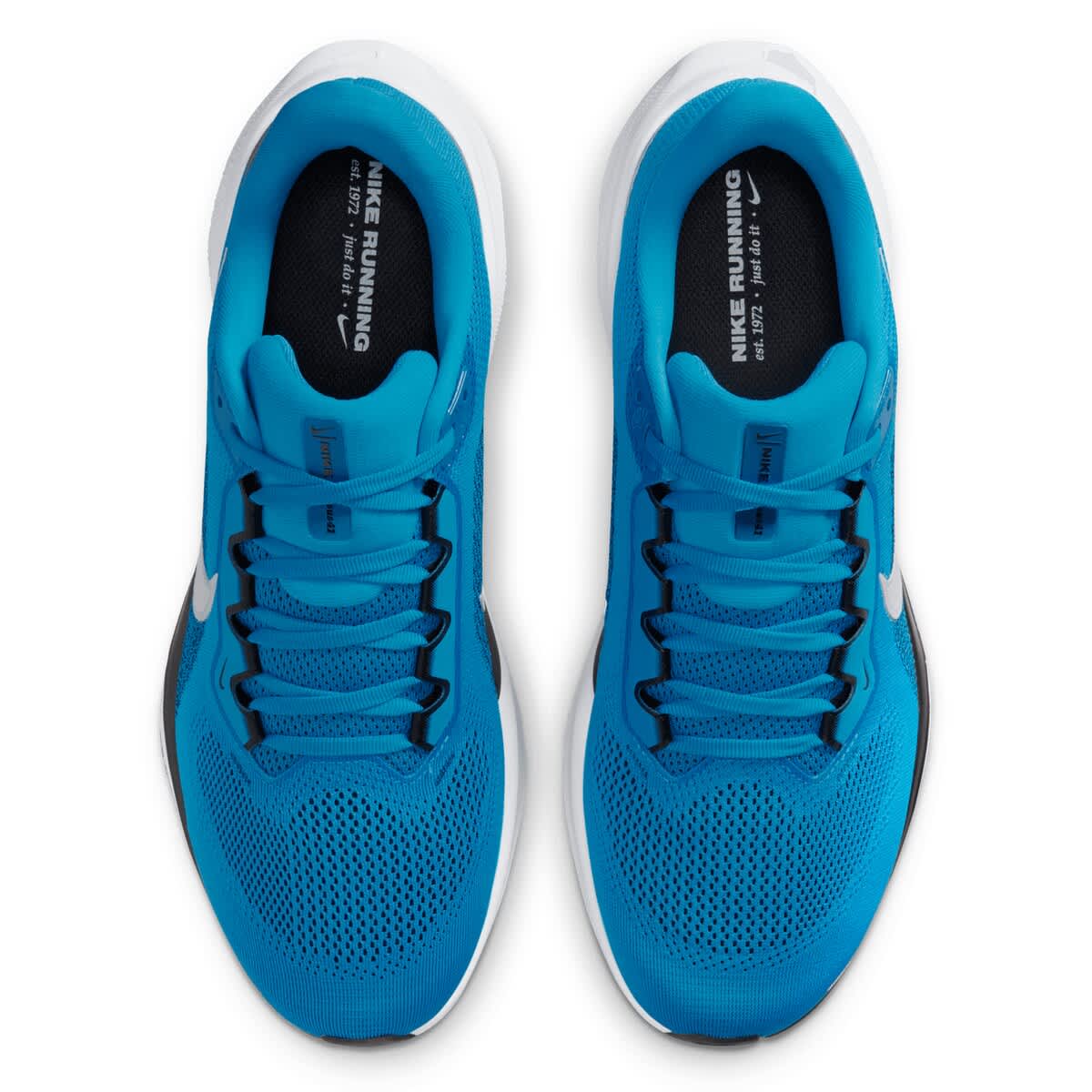 Nike Unisex Nike  Blue Carolina Panthers Air Zoom Pegasus 41 Sneakers, Alternate, color, Blue