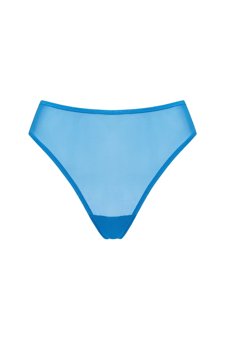 The Highwaist High Cut Mesh Briefs, Main, color, CYAN
