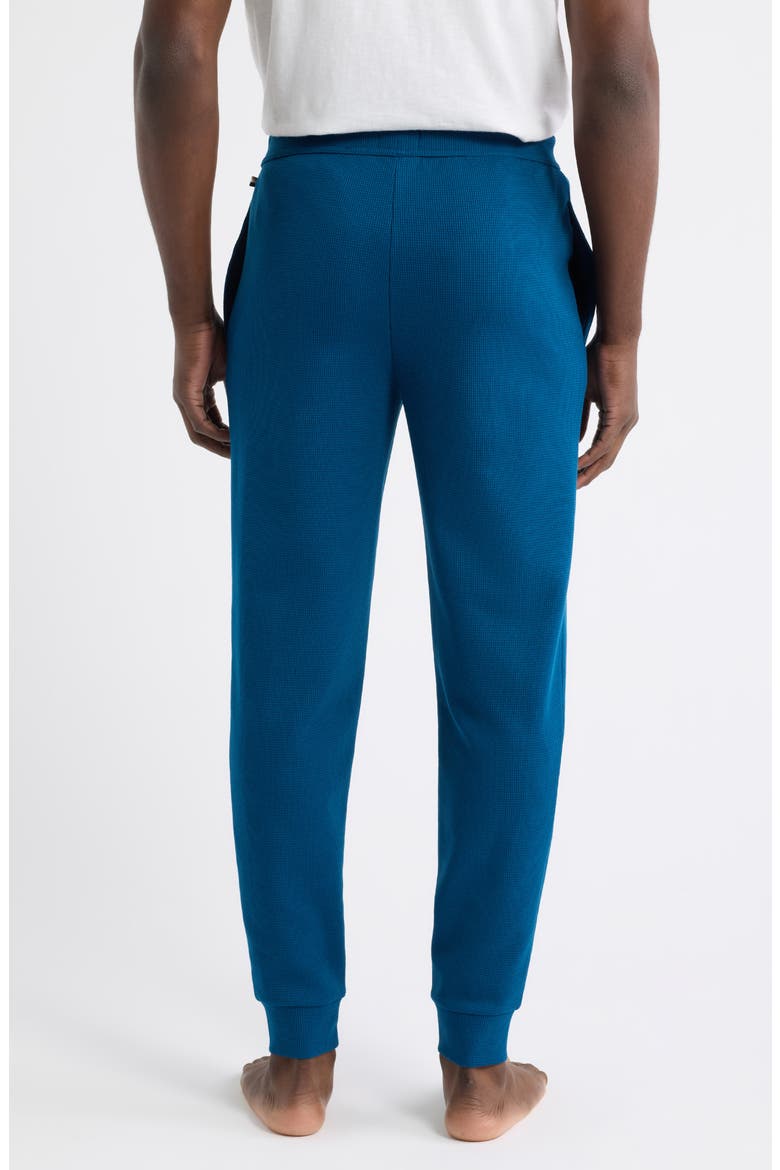 Waffle Knit Jogger Pants, Alternate, color, TURQUOISE/ AQUA