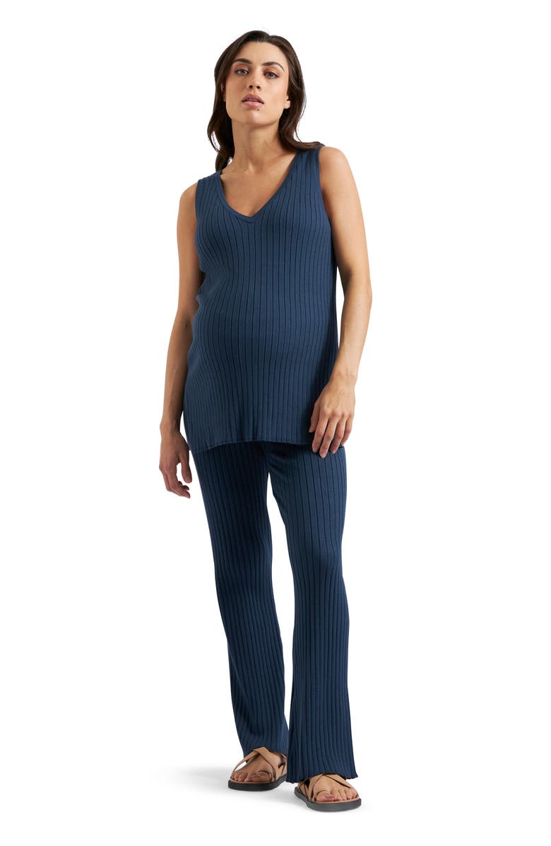 Ripe Maternity Sophie Rib Knit Nursing Top, Alternate, color, French Navy