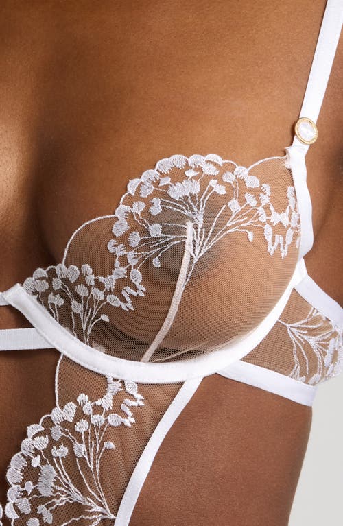 BLUEBELLA BLUEBELLA MARISA EMBROIDERED MESH TEDDY