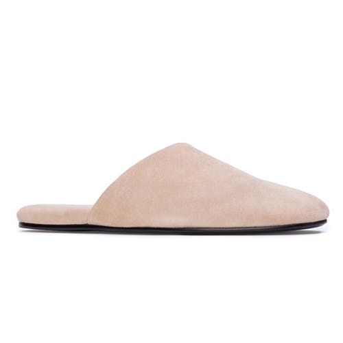 Black Suede Studio Shiloh Mule In Brown