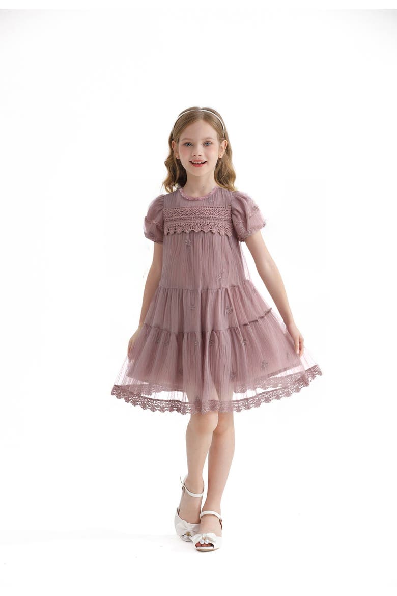 Lace Lined Bailey Dress, Alternate, color, Pink