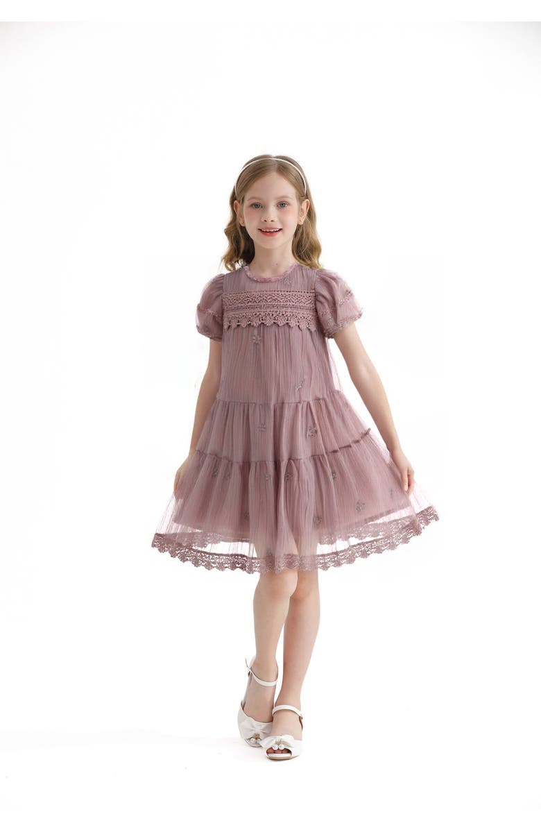Sweet Cactus Lace Lined Bailey Dress, Alternate, color, Pink