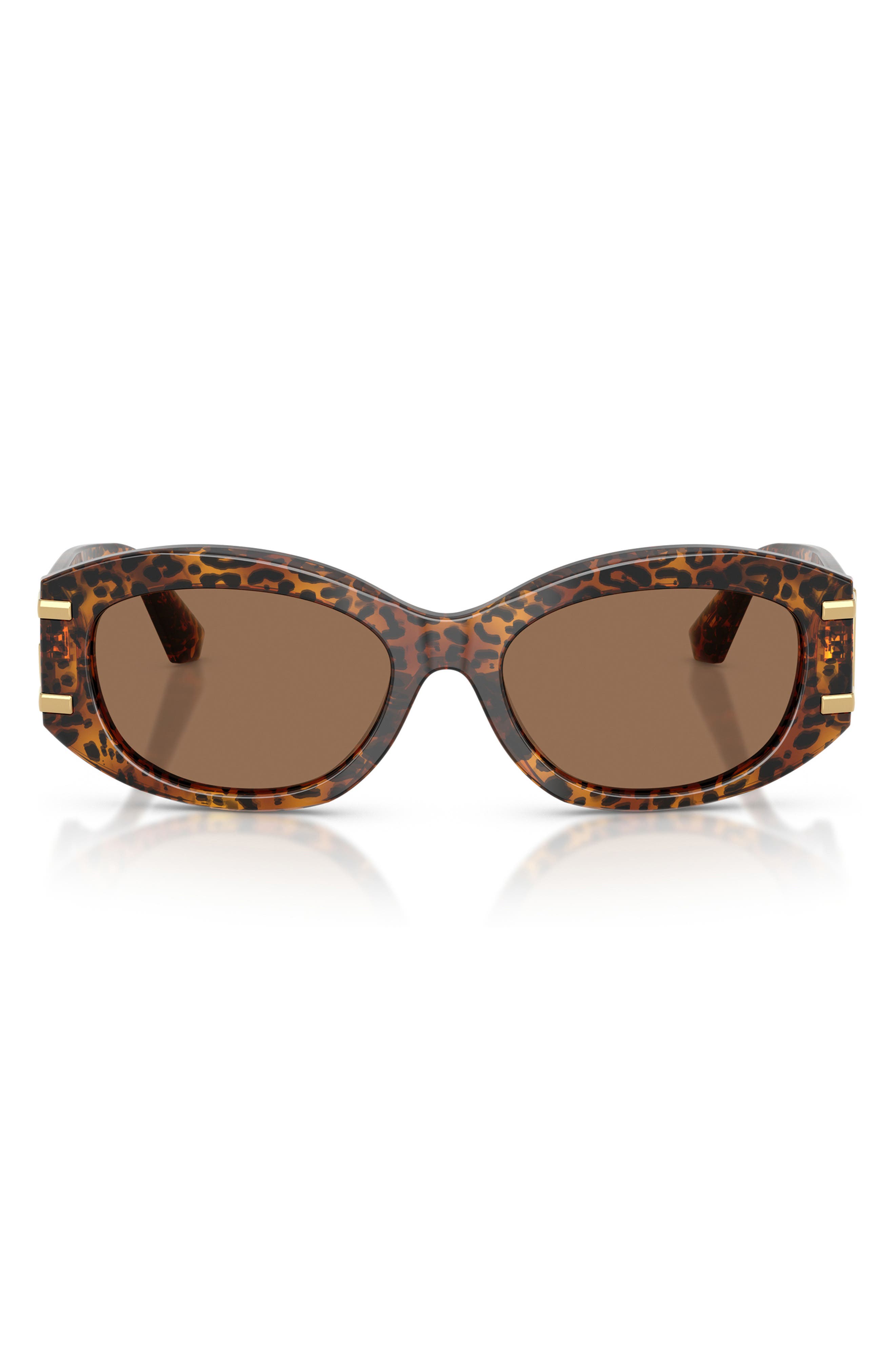 LEO TRANSPARENT / DARK BROWN