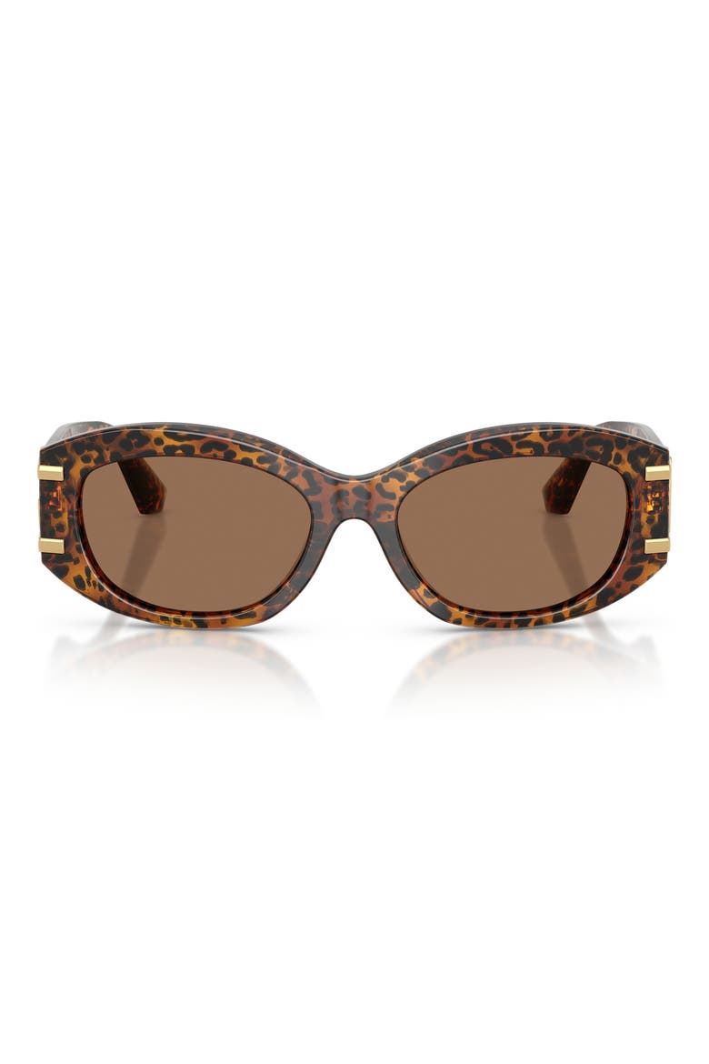 55mm Oval Sunglasses, Main, color, LEO TRANSPARENT / DARK BROWN