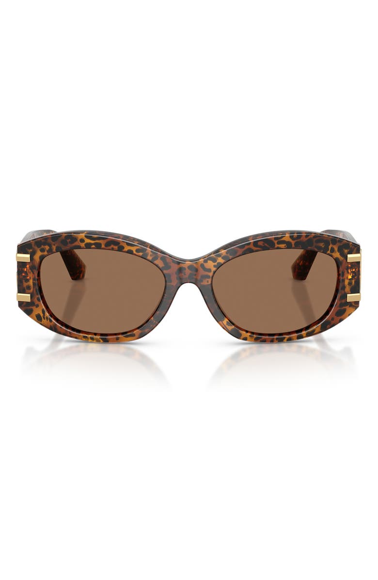 Dolce&Gabbana 55mm Oval Sunglasses, Main, color, Leo Transparent / Dark Brown