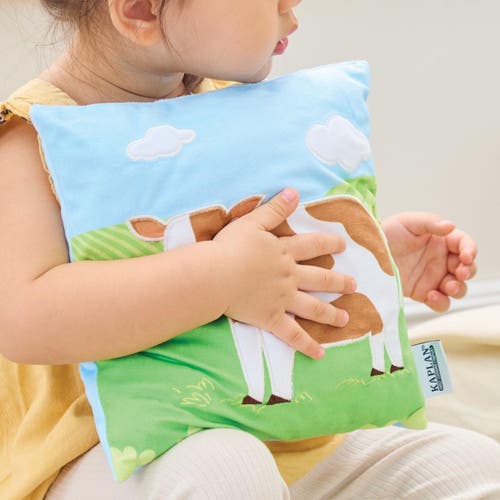 Kaplan Early Learning Company Farm Animal Pillows In Multi