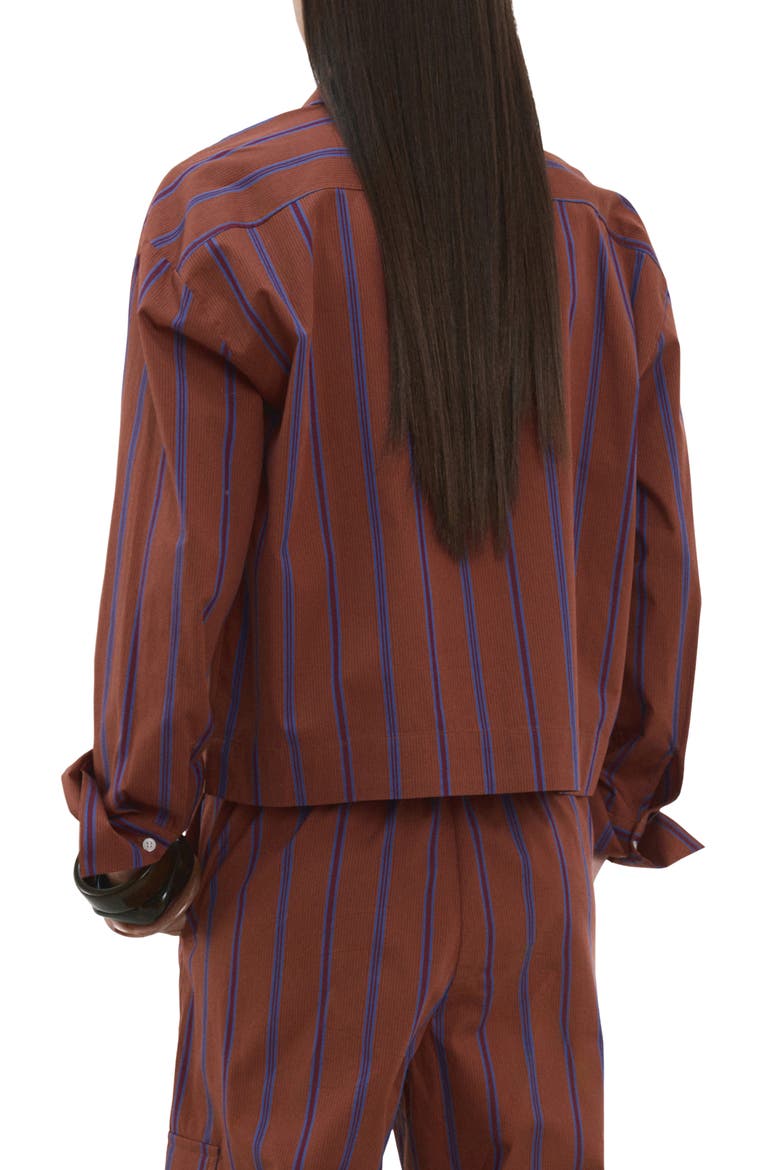 Stripe Cotton Shirt, Alternate, color, RUSSET