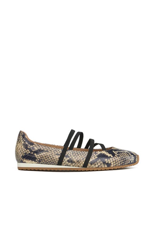 Jslides Pixie Sandal In Multi