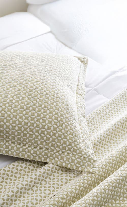 Lands Downunder Leaf Euro Sham In Green