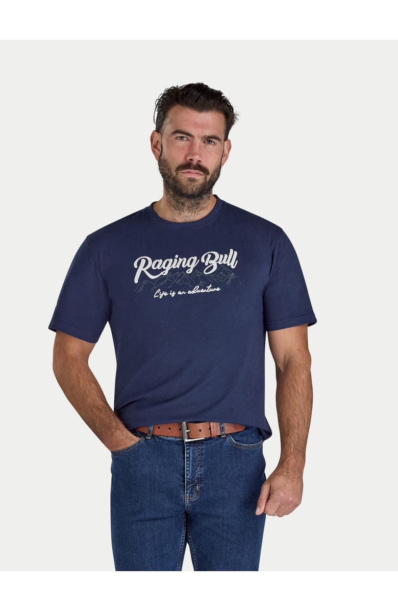 Raging Bull Embroidered Mountains T-Shirt, Main, color, Navy Marl