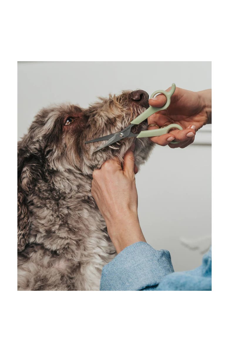 Dexypaws Pet Round Tip Shears, Sage Green, Dog & Cat Grooming Tool, Alternate, color, Green