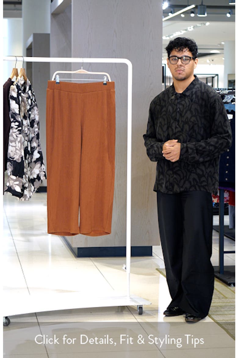 Crinkle Pull-On Ankle Wide Leg Pants video