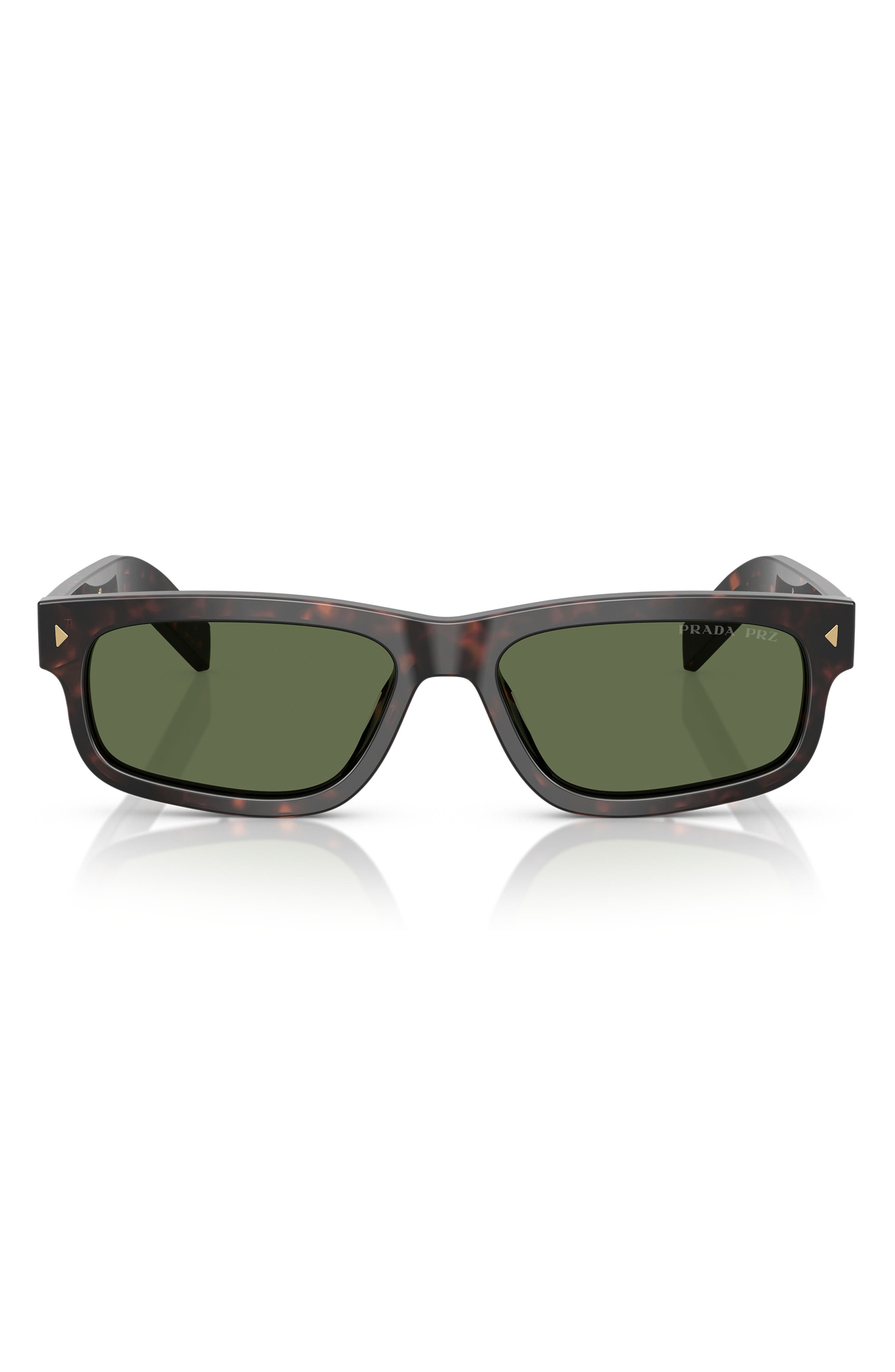 selected BROWN TORTOISE