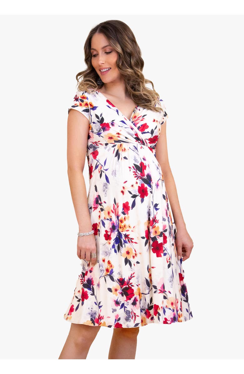 Tiffany Rose Maternity Alessandra Maternity Dress, Main, color, Mystic Bloom