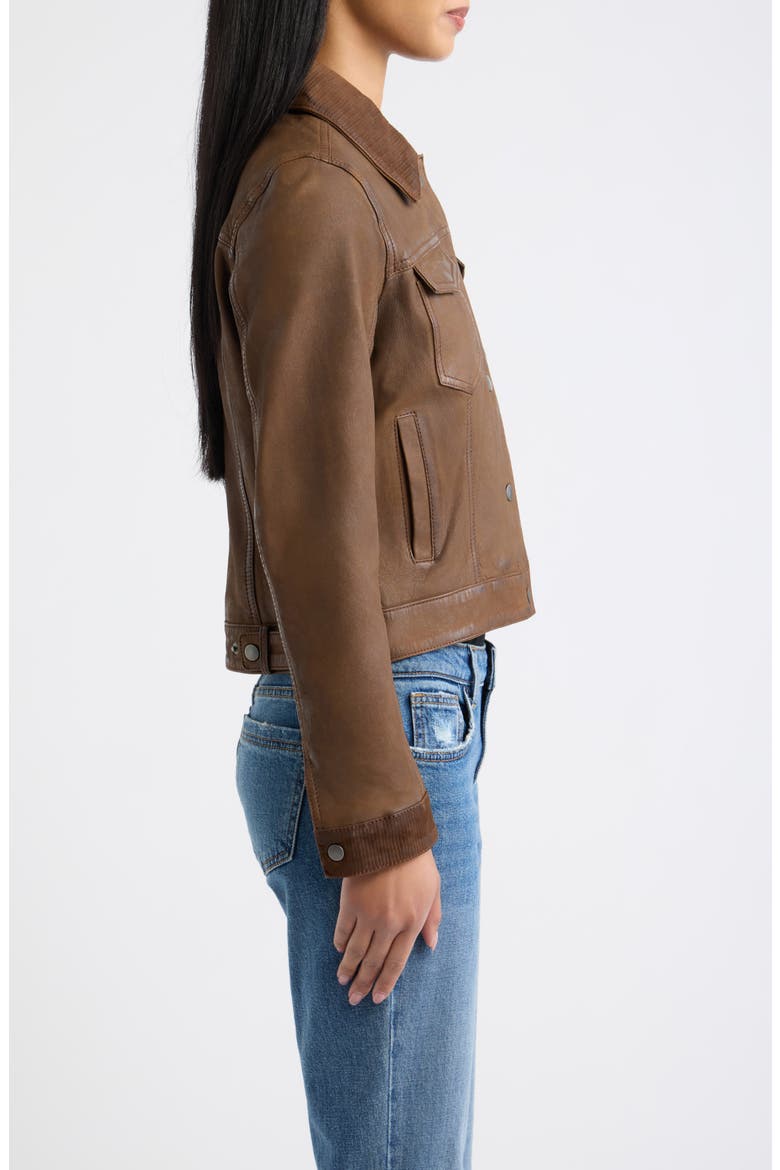Klara Leather Jacket, Alternate, color, DARK WHISKEY