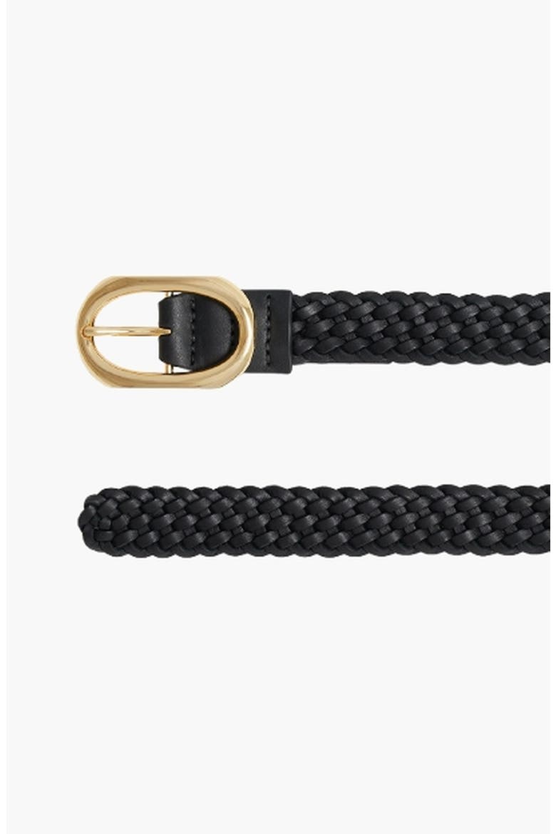 Signature Link Braided Belt, Alternate, color, Black