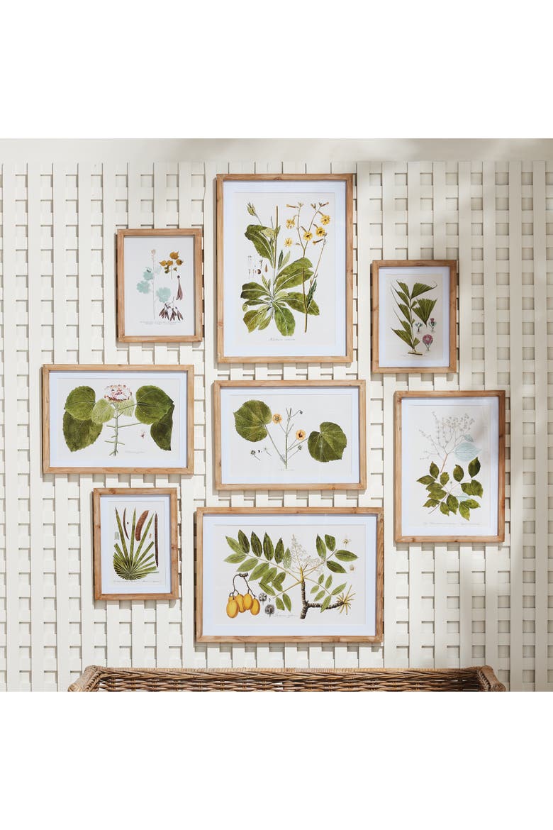 Flora And Fauna Gallery Prints Framed Wall Art Set of 8, Alternate, color, Green