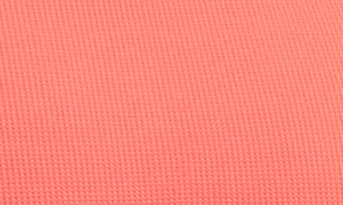 Bleu Rod Beattie Rod Beattie Ring Halter Bikini Top In Pink