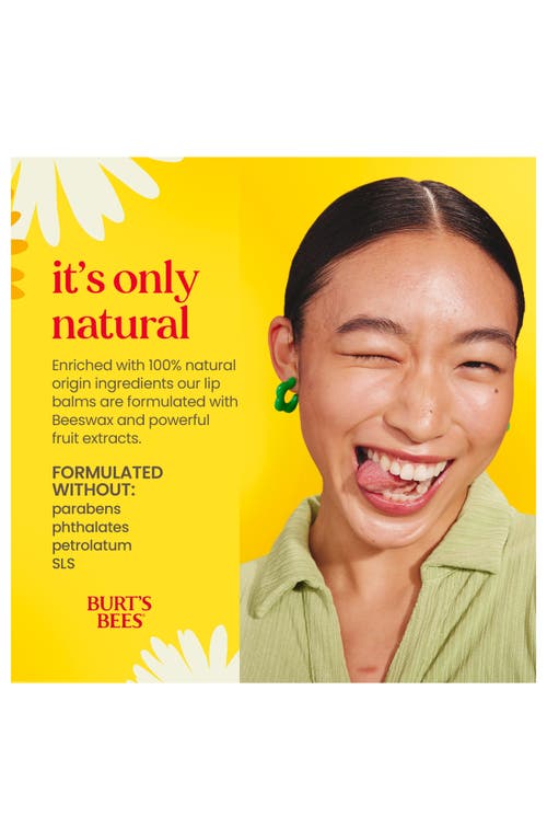 Burt's Bees Beeswax Bounty Lip Balm Gift Set In Transparent