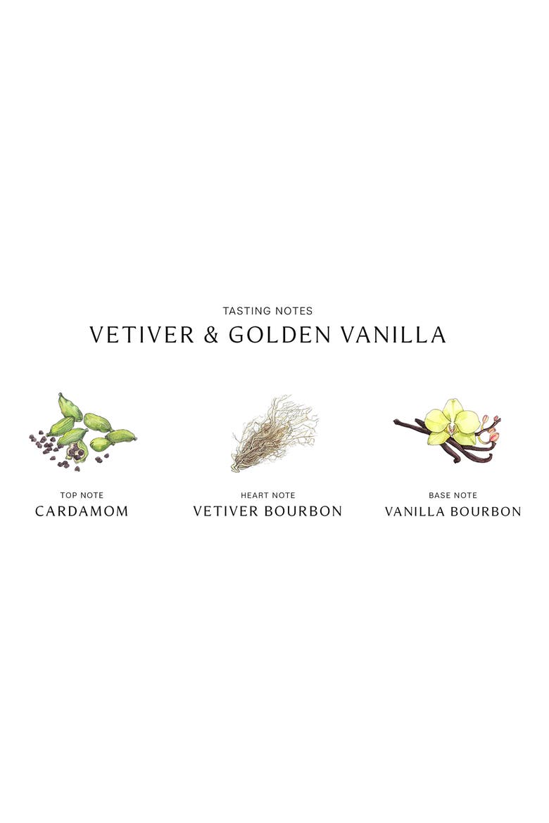 Vetiver & Golden Vanilla Cologne Intense, Alternate, color, NO COLOR
