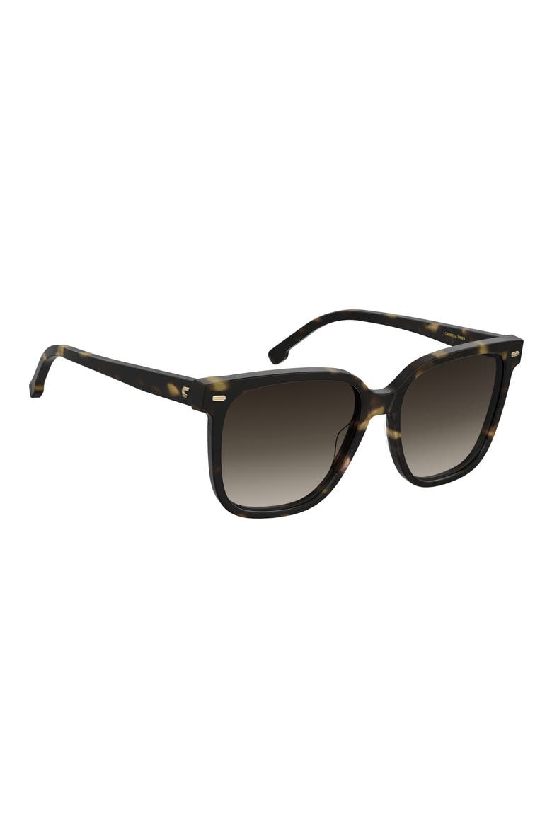 55mm Rectangular Sunglasses, Alternate, color, HAVANA/ BROWN GRADIENT