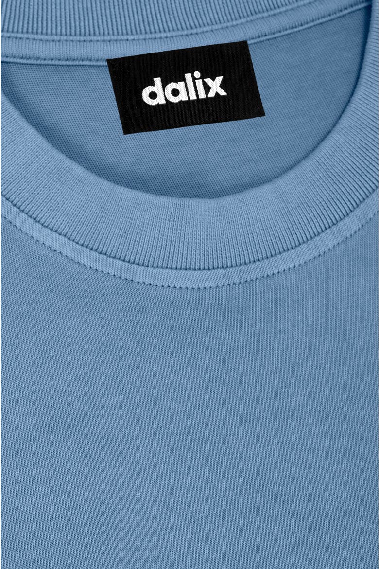 Mens Lil Alien Heavyweight Pigment Dye Tee, Alternate, color, Pebble Blue