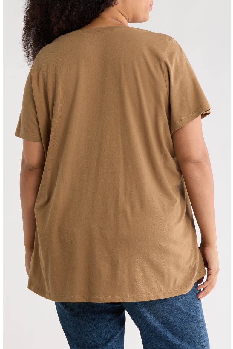 Soft Fade Cotton T-Shirt, Alternate, color, FADED BIRCH
