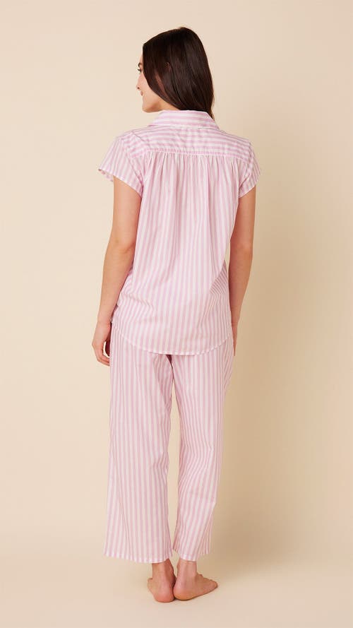 The Cat's Pajamas Luxe Pima Capri Set