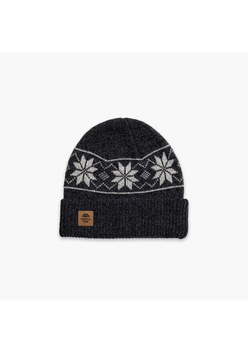 Turtle Fur Mount Snow Wool Beanie In Black