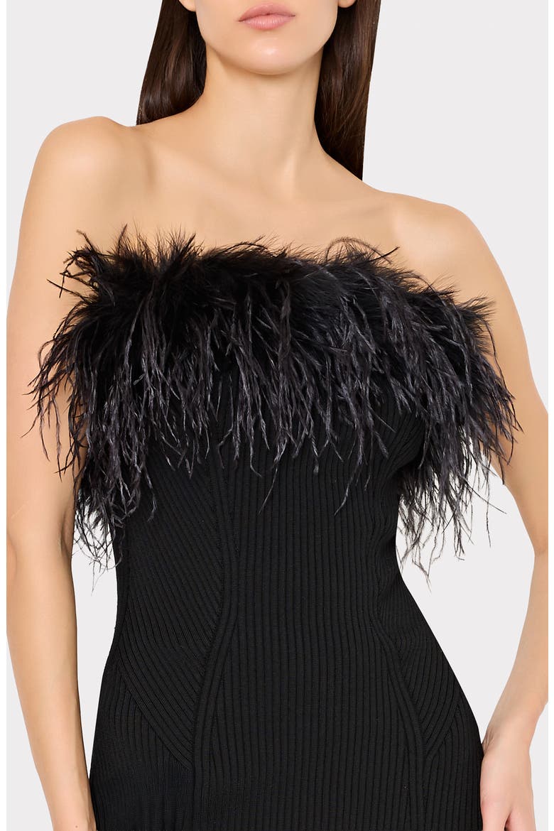Robena Feather Detail Midi Dress, Alternate, color, BLACK