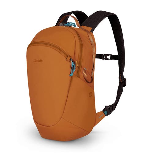 Shop Pacsafe Eco 18l Anti Theft Backpack In Econyl Canyon