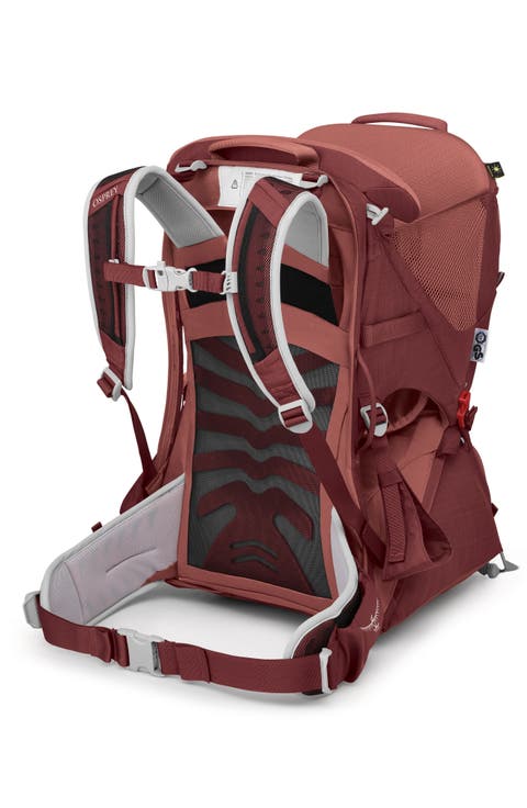 Poco™ LT Child Carrier