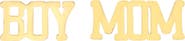 Adornia 18K Gold Plated Boy Mom Mismatched Stud Earrings