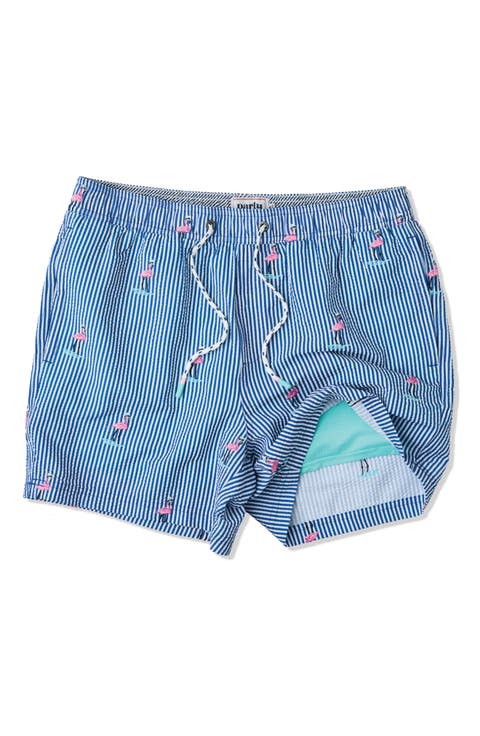 Embroidered Stripe Party Starter 5-Inch Swim Trunks
