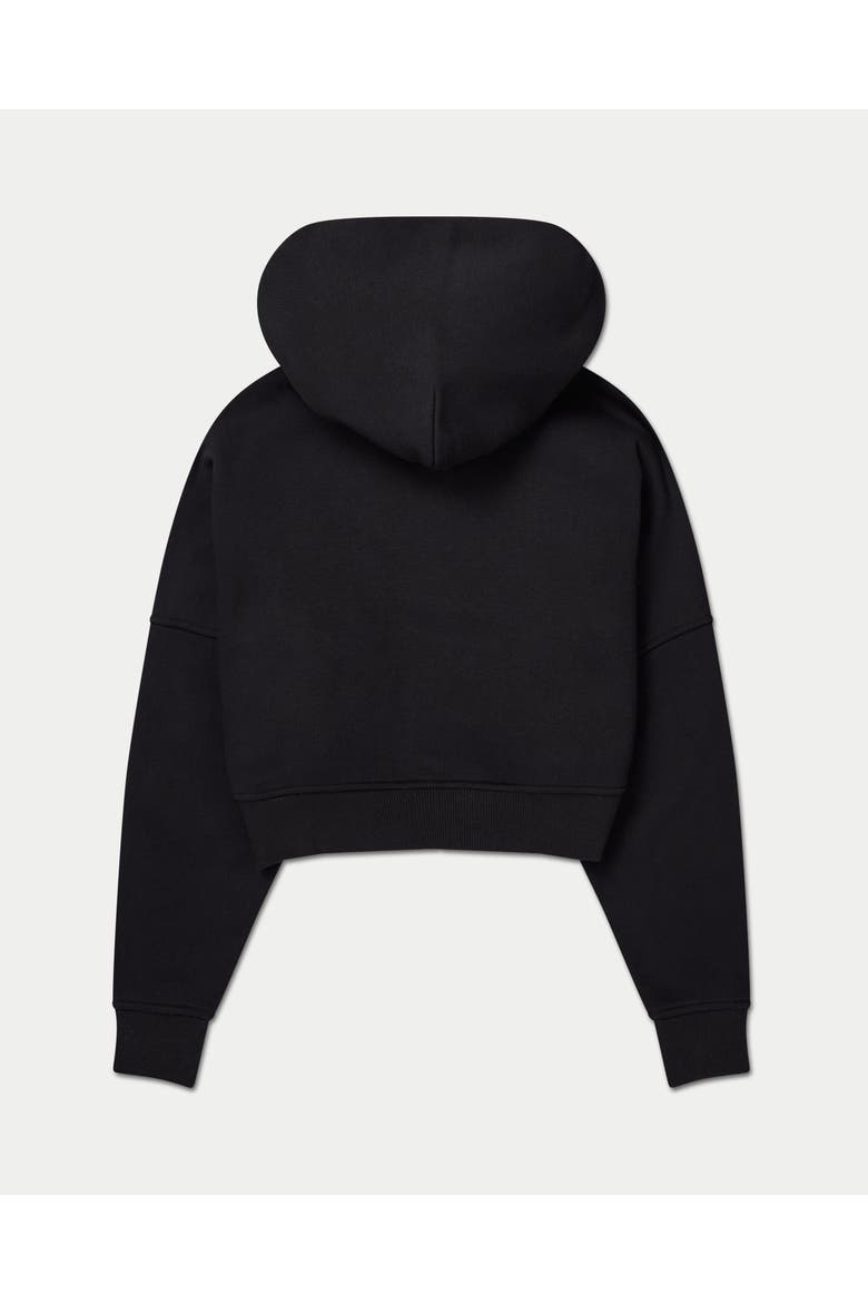 365 Long Sleeve Cropped Zip Hoodie, Alternate, color, Black