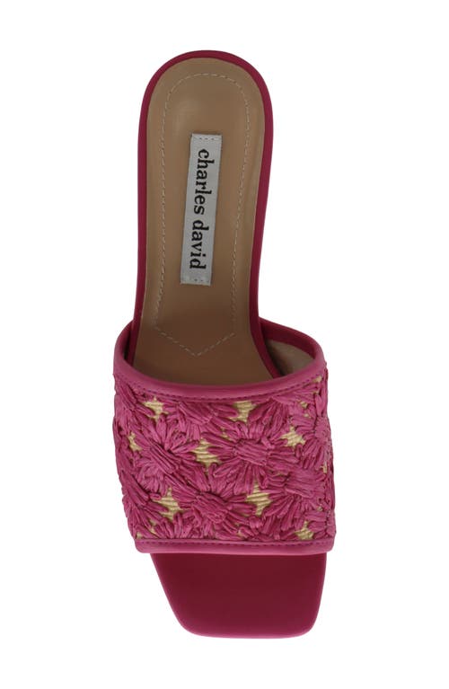 CHARLES DAVID CHARLES DAVID RAFFI SLIDE SANDAL