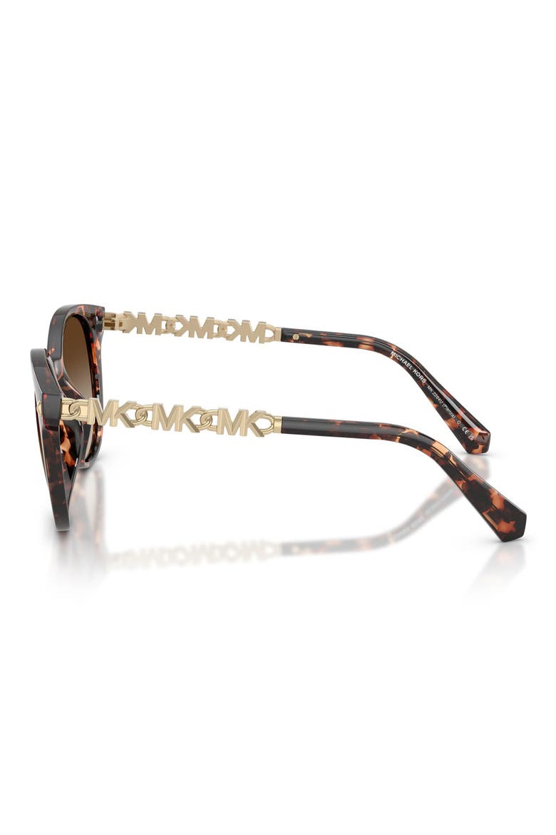 Pienza 53mm Gradient Round Sunglasses, Alternate, color, DARK TORTOISE / SMOKE GRADIENT
