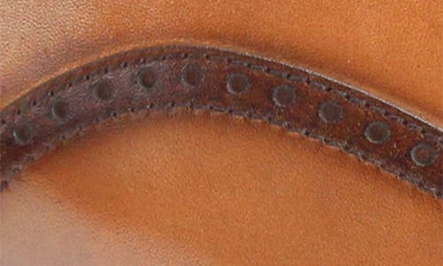 Vellapais Bristol Plain Toe Oxford In Brown