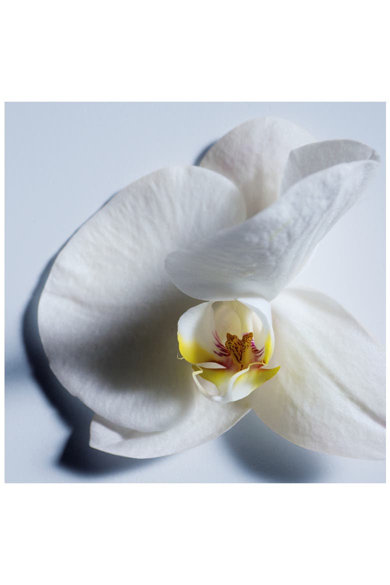 Atelier des Fleurs Orchidée de Minuit Eau de Parfum, Alternate, color, NO COLOR