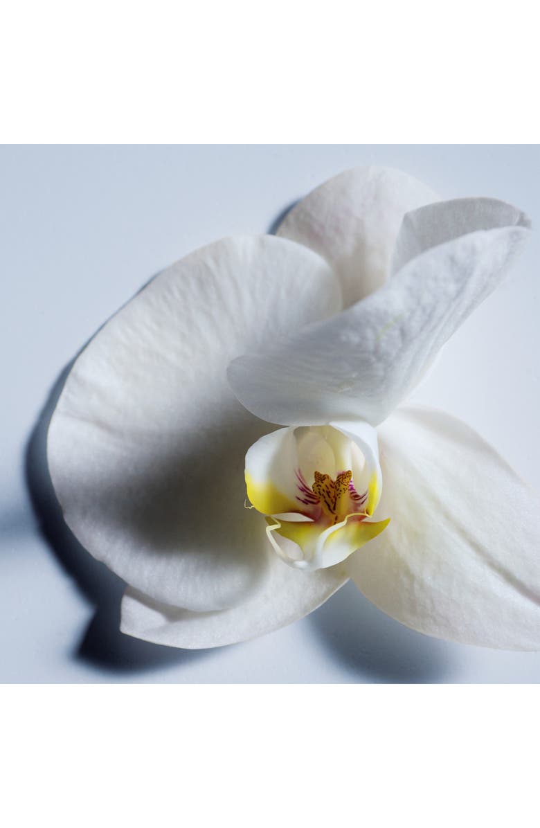 Chloé Atelier des Fleurs Orchidée de Minuit Eau de Parfum, Alternate, color,