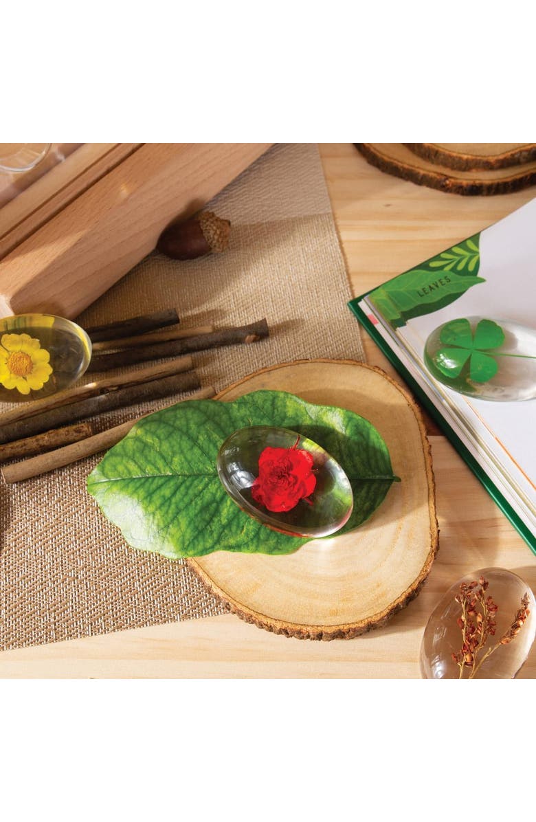 Kaplan Early Learning Company Specimen Stones Plants - 9 Pieces, Alternate, color, Clear