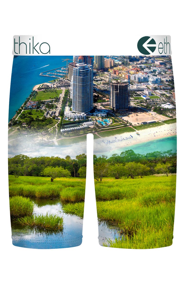 Ethika Kids' Florida Man Boxer Briefs, Alternate, color, Multi Green