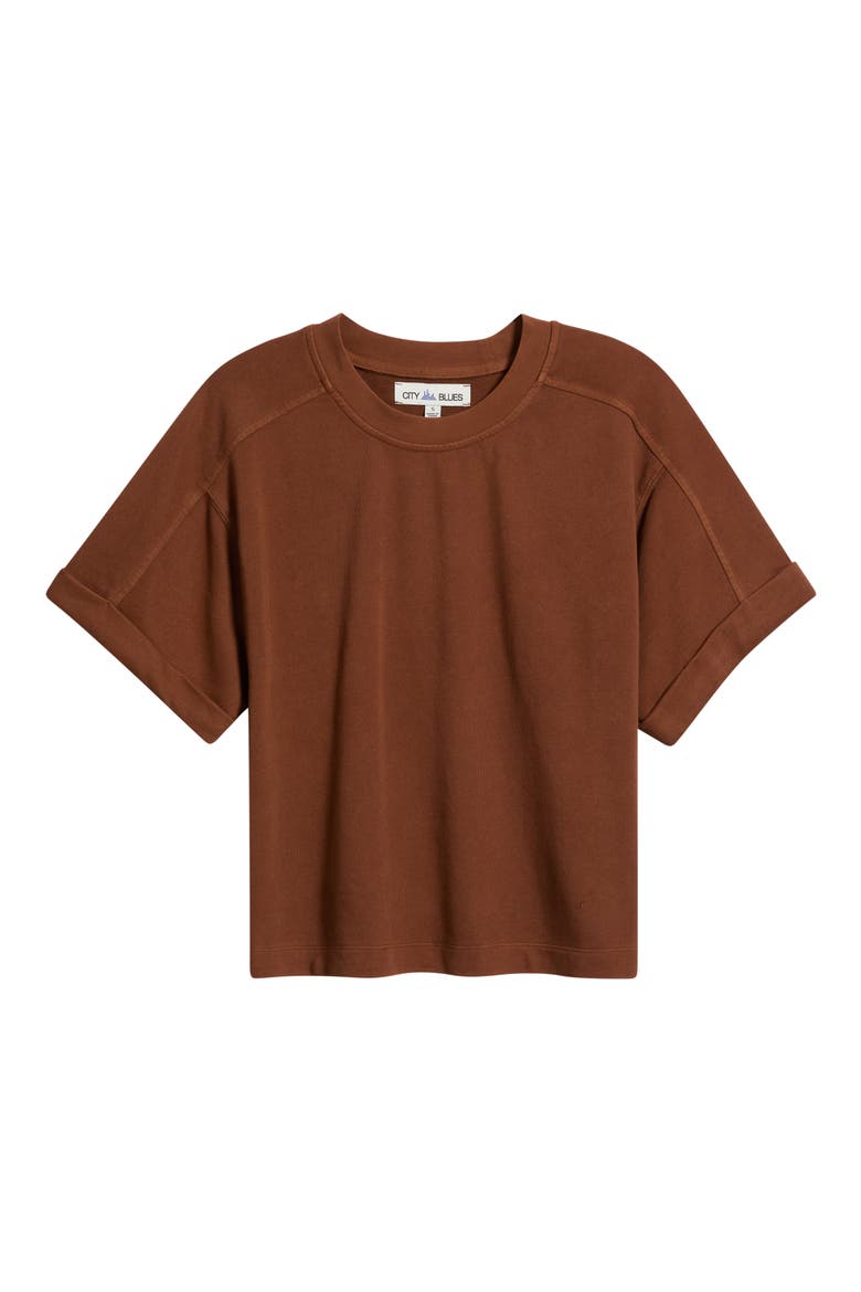 Brie Boxy Short Sleeve Sweatshirt, Alternate, color, TAWNY